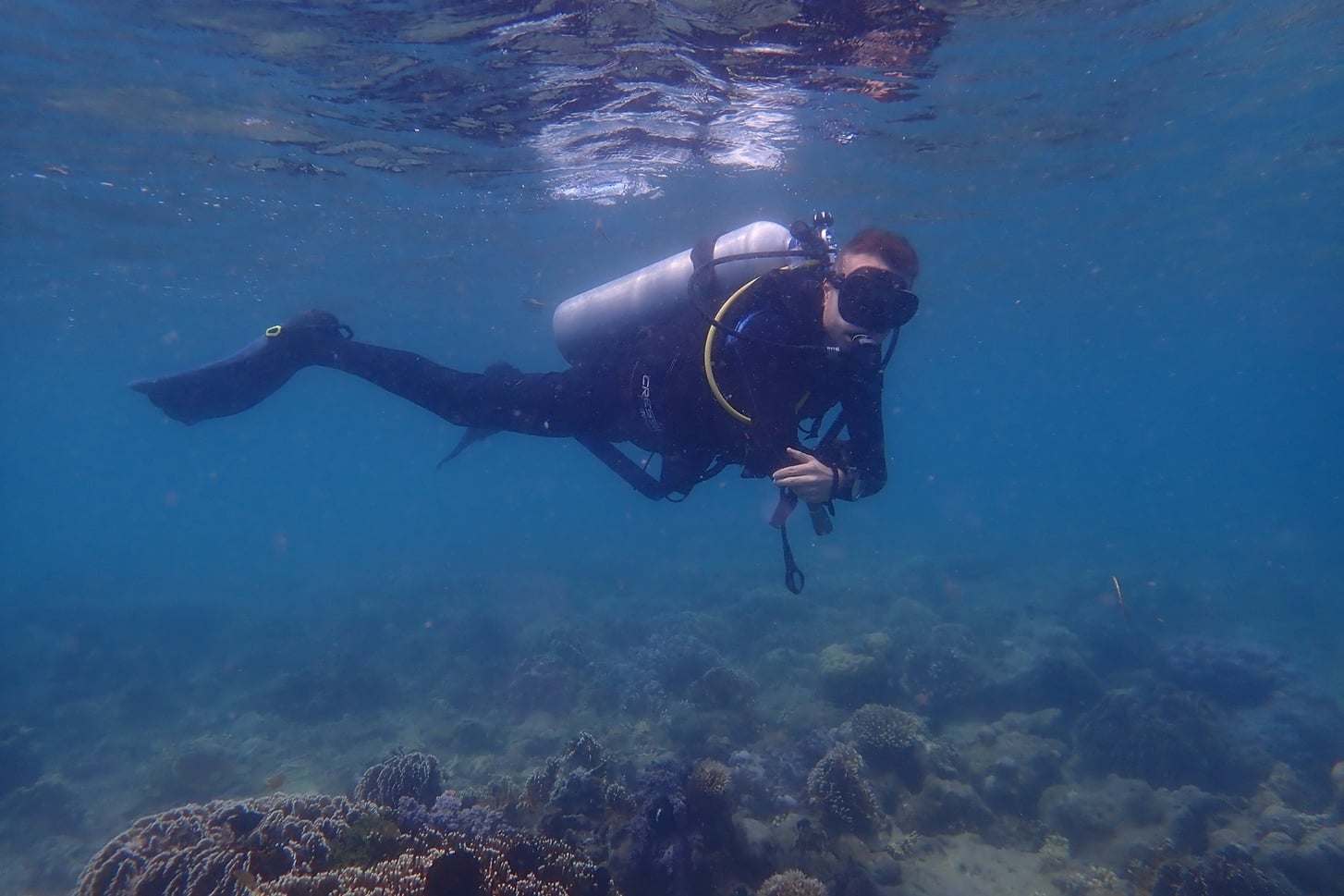 Photo: A Diver as part of Sorce’s underwater research team A Diver as part of Sorce’s underwater research team with Treeapp