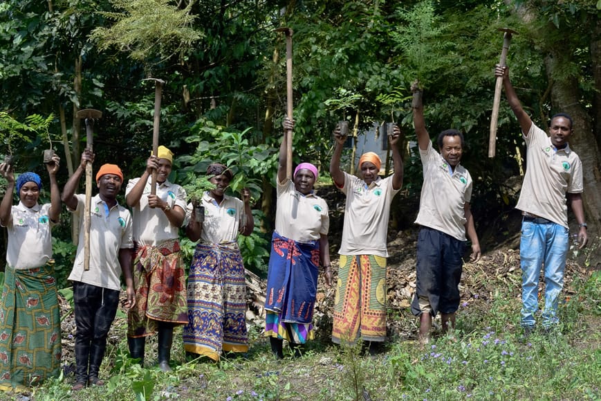 Photo: Tree planters in Tanzania (Source: Friends of Usambara) Treeapp tree planters in Tanzania