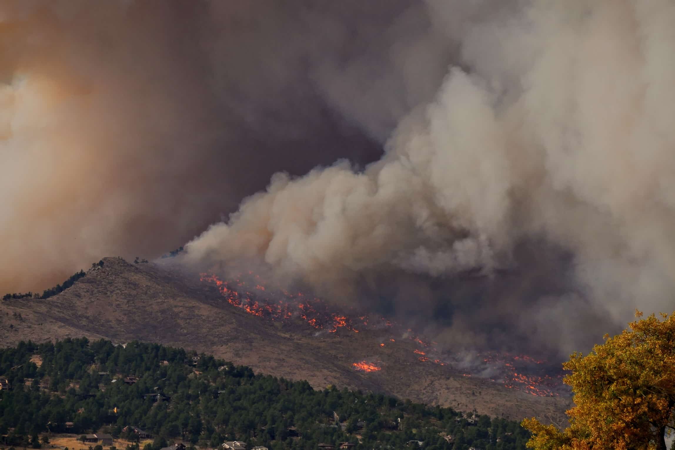 Photo: Wildfire (Source: Unsplash) Photo: Wildfire (Source: Unsplash)