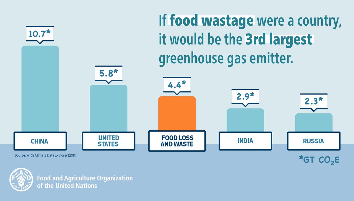 Photo: Graph on Food Wastage (Source: WRIs Climate Data Explorer, 2011) Photo: Graph on Food Wastage (Source: WRIs Climate Data Explorer, 2011)