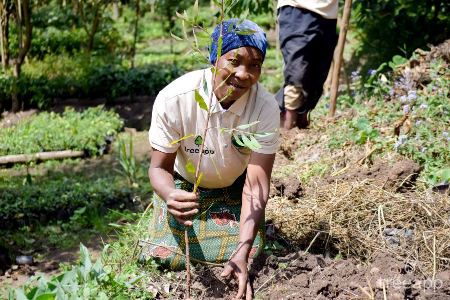Photo: Tree planter in Tanzania (Source: Treeapp) Tree planter in Tanzania