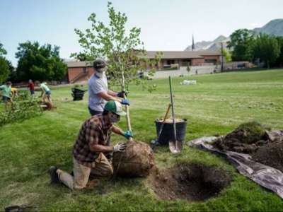 Two people planting a tree in a green field