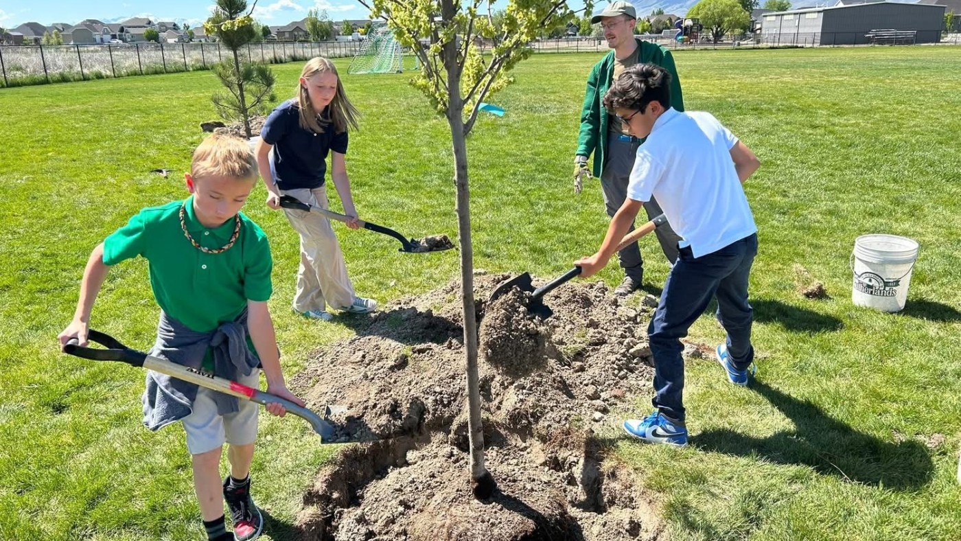 A group of four work to plant a tree in a grassy field.
