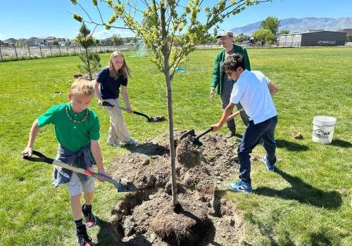 A group of four work together to plant a tree in a grassy field.