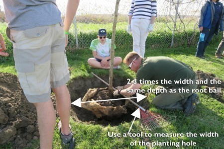 Measuring for Planting
