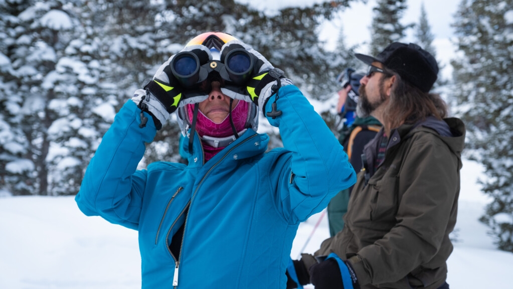 A woman in a blue coat stands in a snowy landscape and holds binoculars to her eyes.