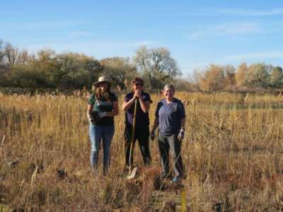 Three people stand in a grassy field in front of a grove of trees in the Fall