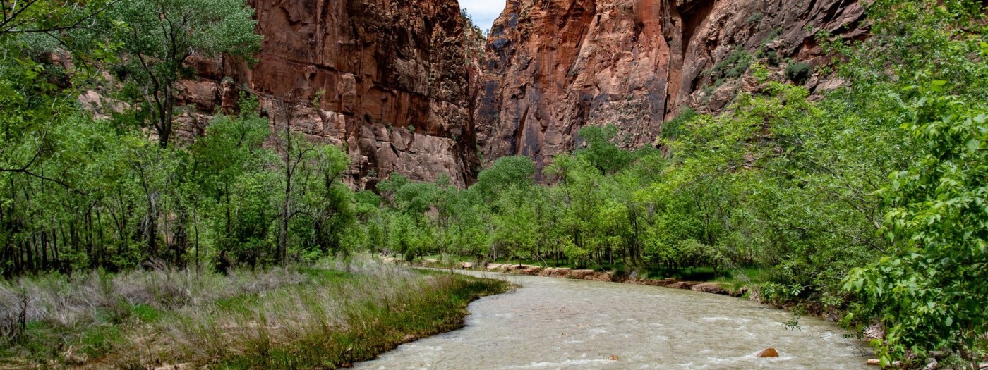 A river in a desert canyon with green trees on both sides
