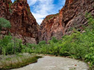 A river in a desert canyon with green trees on both sides