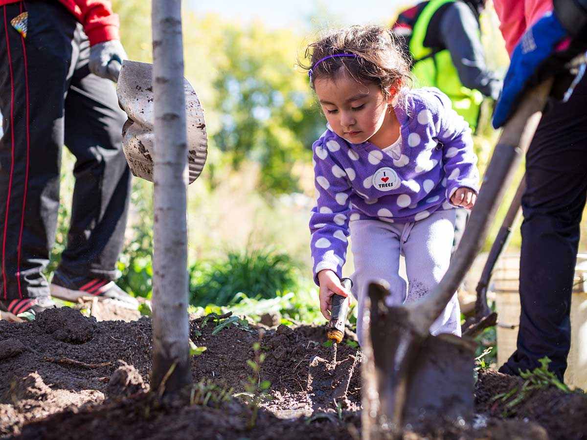 Kid helping plant trees